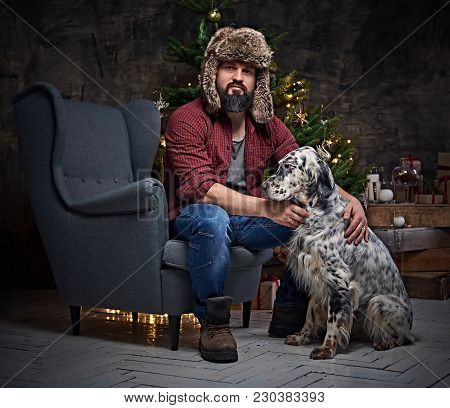 Bearded Middle Age Male Dressed In A Plaid Shirt And Fur Hat And Two Irish Setter Dogs With Fir Tree