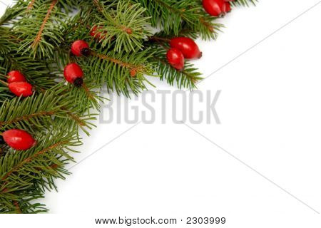 Rot-grüne Weihnachten Arragement