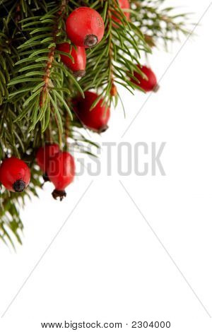 Rot-grüne Weihnachten Arragement