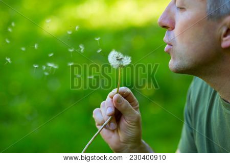 Man blowing dandelion over blured green grass, summer nature outdoor