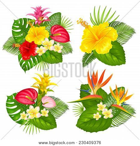 Summer Bouquets Set With Tropical Exotic Leaves And Flowers. Different Arrangement. Vector Illustrat