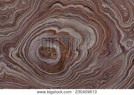 Texture Of Roots Of Tree With Wavy Lines And Age Rings. Abstract Background.