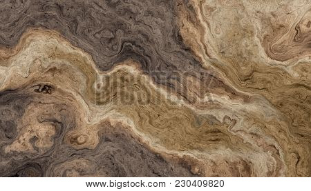Texture Of Roots Of Tree With Wavy Lines And Age Rings. Abstract Background.