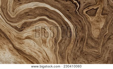 Texture Of Roots Of Tree With Wavy Lines And Age Rings. Abstract Background. 2d Illustration