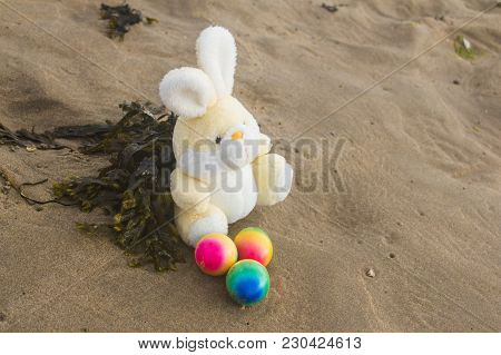 Toy Teddy Bunny With Colored Eggs And Seaweed, On The Wet Sand At The Seaside