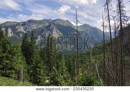 View From Way To Lake Eye Of Sea In Tatra Mountains..