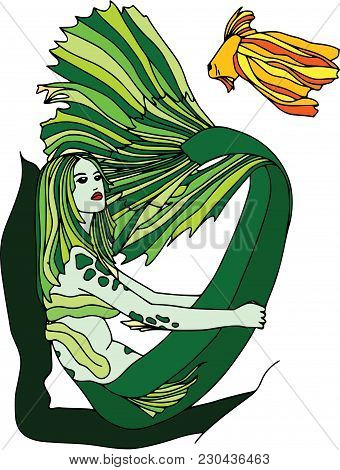 A Mermaid Looks At The Swimming Fish, Colored. Cartoon Characters, Isolated, White Background, Set.