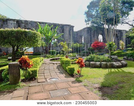 Garden Inside The Ruins Of Santiago Apostol Cathedral, Carthago, Costa Rica