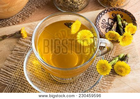 Fresh Coltsfoot (tussilago Farfara) Tea With Coltsfoot Flowers On A Table