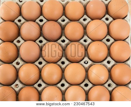 Brown Eggs From Organic Free Range In Egg Box Ranked