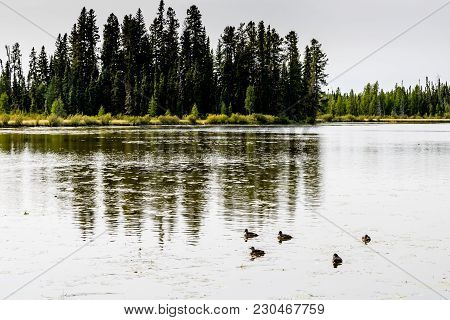 Twin Lake, Crimson Lake Provincial Park, Alberta, Canada