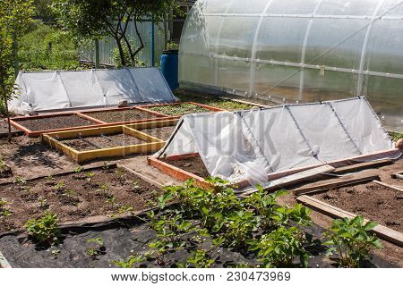 A Garden Divided Into Beds With Paths Planted With Plants