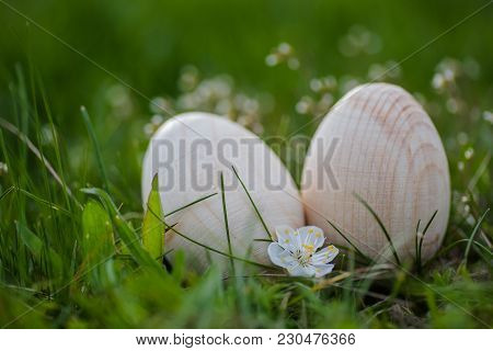 Two White Wooden Easter Eggs With A Branch Of Apricot In Green Grass. Easter Background. Search For 