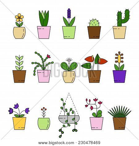 Indoor Potted Plants Isolated On White. Vector Set Green Plant In Pot, Illustration Of Flowerpot Blo