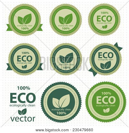 Set Of Creative Badges For Ecologicaly Clean Products. Vector Illustration
