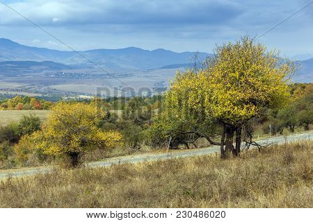 Autumn Panoramic View Of Cherna Gora Mountain, Pernik Region, Bulgaria