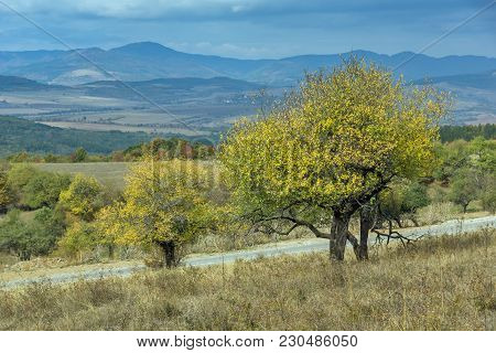 Autumn Panoramic View Of Cherna Gora Mountain, Pernik Region, Bulgaria