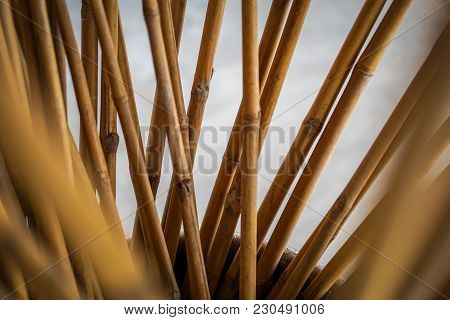 Decorate Bamboo Stick In Big Water Jar