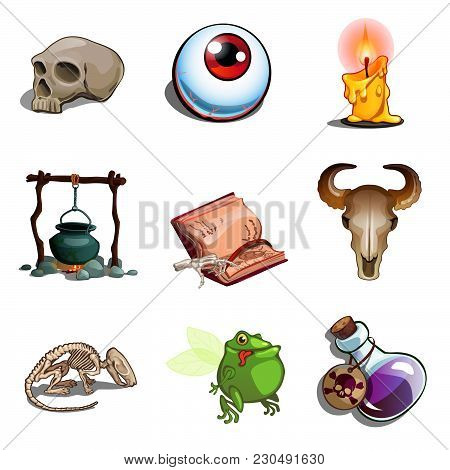 A Set Of Objects For Performing Occult Rites. The Attributes Of A Witch, Wizard, And Shaman. Vector 