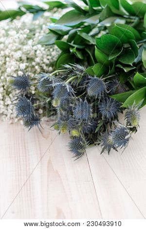 Blue Flowers Eringium On A Close-up Table