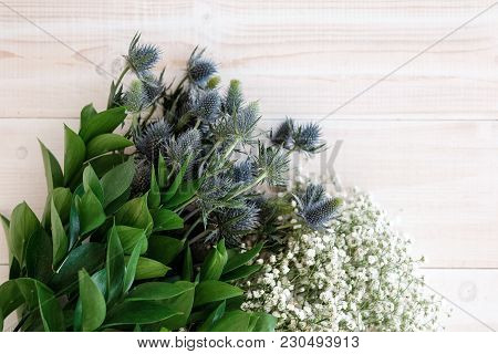 Blue Flowers Eringium On A Close-up Table