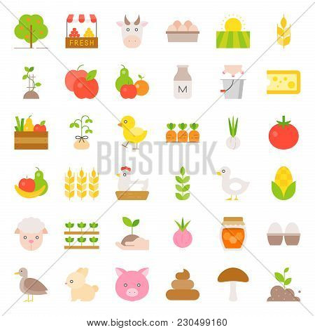 Organic Farming Products Icon, Such As Hen, Milk, Orange, Tomato, Honey, Sheep, Eggs, Flat Design