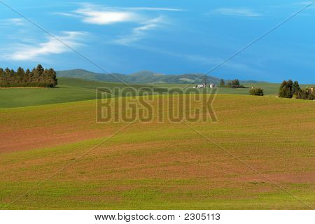 Farm Landscape