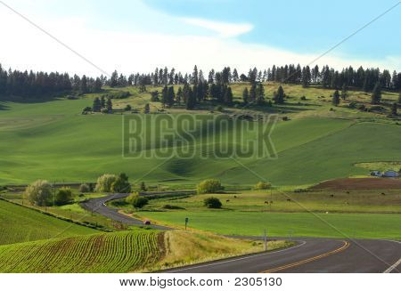 Winding Road In The Countryside/Mountains