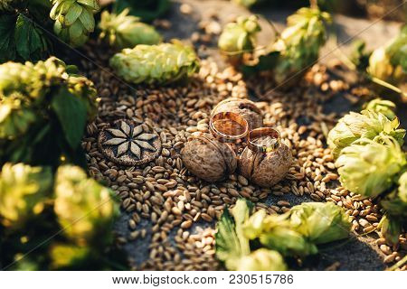 Still Life Of Hops, Wheat Seeds, Walnuts, Alatyr, Wedding Rings On Granite Stone. Backlight.