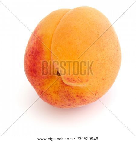 One apricot isolated on white background cutout