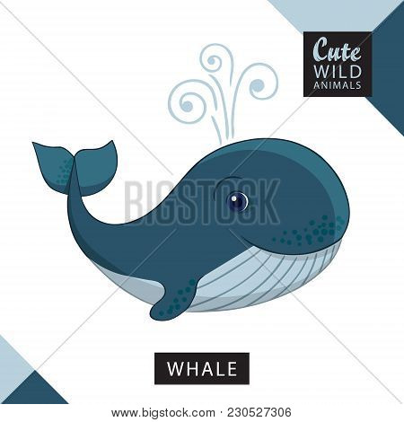 A Cute Whale. Vector Illustration From Wild Animals Series. A Picture For Children's Educational Boo