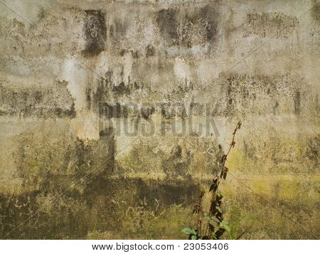 Stadtmauer und Anlage