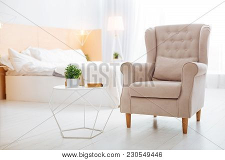 Cozy Room. Comfortable Big Soft Armchair Being Empty Without People While Standing In A Light Conven