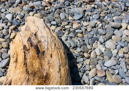 Driftwood, Washed Up By The Sea On A Pebble Beach On A Warm Summer Day