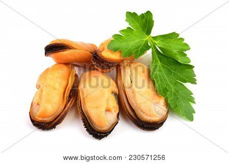 Mussel With Parsley Leaf Isolated On White Background.