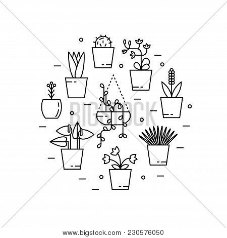 Set Of House Plant Isolated Vector Flat Illustration In Round Shape. Outline House Plants In Pots.