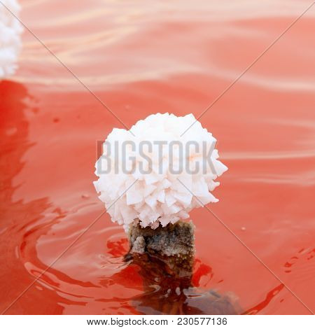 The Salty Lake With Pink Water And The Beach From Salt. Old Logs Pier On Lake Sasyk In The Crimea. S