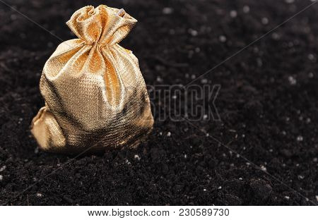 Golden Bag With The Money On The Ground.