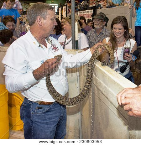 Sweetwater,texas - March 10,2018  60th Annual Sweetwater, Texas Rattlesnake Roundup Largest In The W