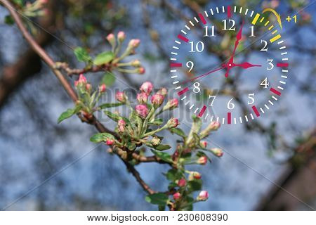 Daylight Saving Time. Dst. Wall Clock Going To Winter Time.