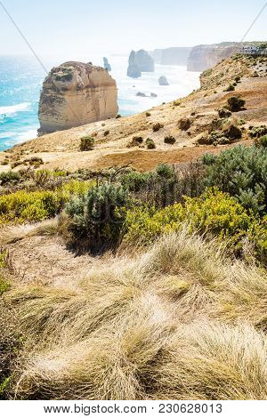 Lookout At Twelve Apostels With Grassland At The Great Ocean Road, Victoria, Australia