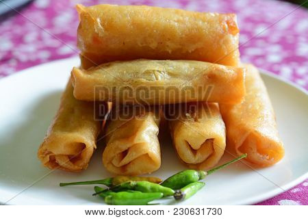 Spring Rolls. Close - Up. Vegetables Spring Rolls Called 