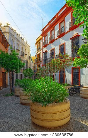 Downtown Of The City Seville - Is The Capital And Largest City O