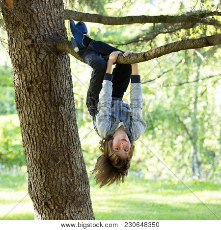 Young boy playing and climbing a tree and hanging upside down. Teen boy playing in a park.