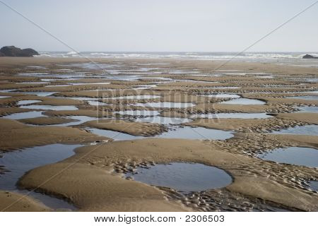 Tidepools บนชายหาด