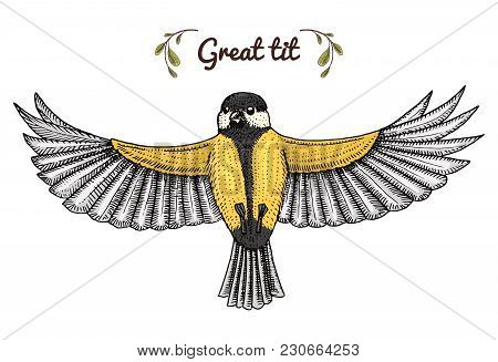 Small Birds Of Barn Swallow Or Martlet And Parus. Exotic Tropical Animal Icons. Use For Wedding, Par