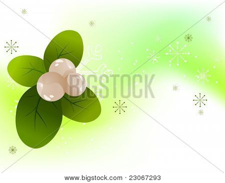 Vánoční světelné pozadí s snowberry a sněhové vločky