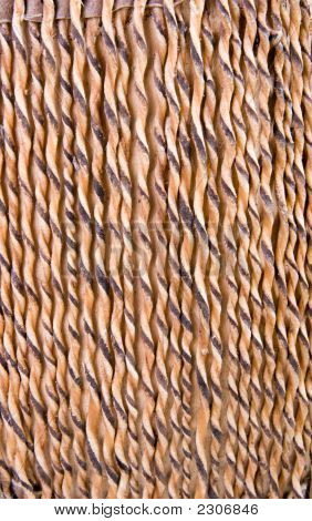 Tendon