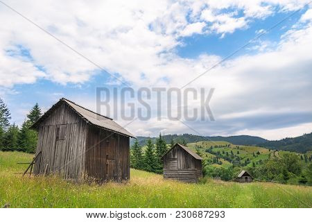 Rustic Scenery With Wooden Barns In A Row, In The Middle Of A Green Meadow Full Of Wildflowers, In T
