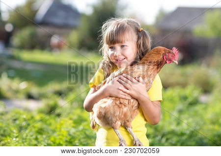 Little Child Girl Is Holding The Hen On The Farm